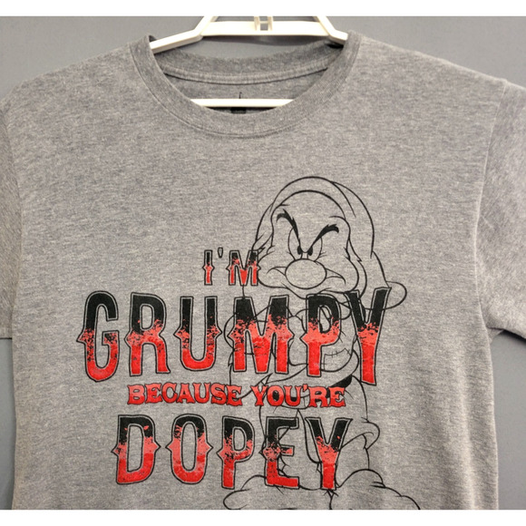Disney Parks T-shirt Grumpy Adult Medium Gray Heathered Graphic Short Sleeves - Picture 5 of 11